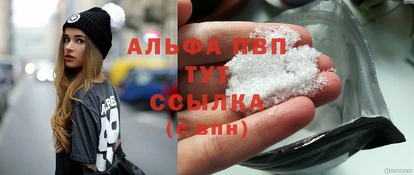 сатива Волосово