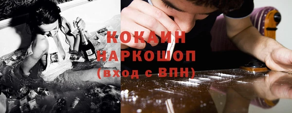 крисы Майский